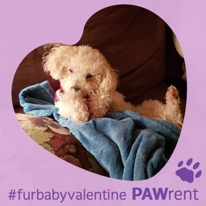 Meet your Posher, Stacey